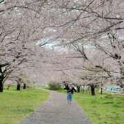 ヒメ日記 2026/04/04 12:16 投稿 片瀬ここみ 華椿