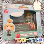 ヒメ日記 2026/04/06 07:01 投稿 片瀬ここみ 華椿