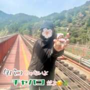 ヒメ日記 2026/04/07 07:16 投稿 片瀬ここみ 華椿