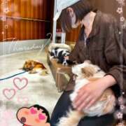 ヒメ日記 2026/04/09 17:16 投稿 片瀬ここみ 華椿