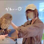 ヒメ日記 2026/04/10 16:31 投稿 片瀬ここみ 華椿