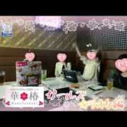 ヒメ日記 2026/04/11 22:46 投稿 片瀬ここみ 華椿