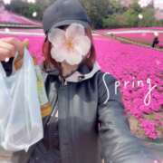 ヒメ日記 2026/04/13 14:16 投稿 片瀬ここみ 華椿