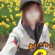 ヒメ日記 2026/04/14 15:31 投稿 片瀬ここみ 華椿