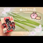 ヒメ日記 2026/05/06 09:16 投稿 片瀬ここみ 華椿
