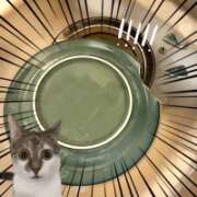 ヒメ日記 2026/05/06 22:46 投稿 片瀬ここみ 華椿