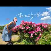 ヒメ日記 2026/05/14 07:46 投稿 片瀬ここみ 華椿
