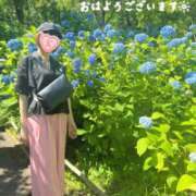ヒメ日記 2026/06/03 07:01 投稿 片瀬ここみ 華椿