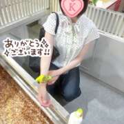 ヒメ日記 2026/06/05 09:01 投稿 片瀬ここみ 華椿
