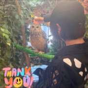 ヒメ日記 2026/06/05 13:31 投稿 片瀬ここみ 華椿
