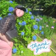 ヒメ日記 2026/06/06 18:01 投稿 片瀬ここみ 華椿
