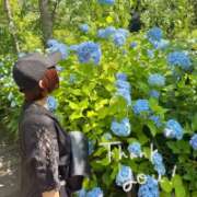 ヒメ日記 2026/06/08 12:46 投稿 片瀬ここみ 華椿