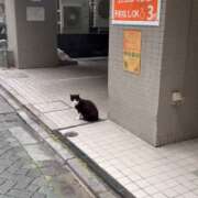 ヒメ日記 2026/06/08 20:46 投稿 片瀬ここみ 華椿