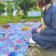 ヒメ日記 2026/06/10 06:46 投稿 片瀬ここみ 華椿
