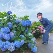 ヒメ日記 2026/06/10 11:16 投稿 片瀬ここみ 華椿