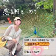 ヒメ日記 2026/06/12 16:02 投稿 片瀬ここみ 華椿
