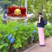 ヒメ日記 2026/06/18 13:01 投稿 片瀬ここみ 華椿