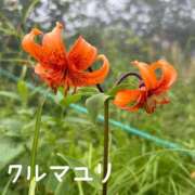 ヒメ日記 2026/08/09 20:17 投稿 片瀬ここみ 華椿