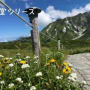 ヒメ日記 2026/08/19 01:01 投稿 片瀬ここみ 華椿