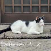 ヒメ日記 2026/08/22 05:01 投稿 片瀬ここみ 華椿