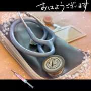 ヒメ日記 2026/10/12 09:16 投稿 片瀬ここみ 華椿