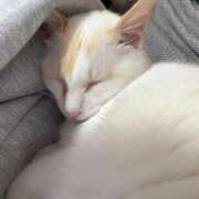 うみ おはよう?? CUTE