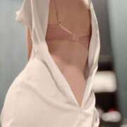 ヒメ日記 2025/12/26 16:16 投稿 浅田まちこ 華椿