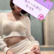 ヒメ日記 2026/02/25 01:01 投稿 浅田まちこ 華椿