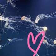 ヒメ日記 2025/12/28 06:31 投稿 朝倉さつき MADAM