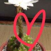 ヒメ日記 2025/12/30 18:46 投稿 朝倉さつき MADAM