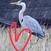 ヒメ日記 2026/01/01 12:16 投稿 朝倉さつき MADAM