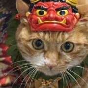 ヒメ日記 2026/02/01 22:01 投稿 朝倉さつき MADAM