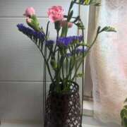 ヒメ日記 2026/02/12 23:46 投稿 朝倉さつき MADAM