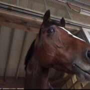 ヒメ日記 2026/03/31 14:46 投稿 朝倉さつき MADAM