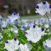 ヒメ日記 2026/04/03 23:31 投稿 朝倉さつき MADAM