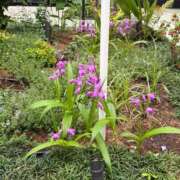 ヒメ日記 2026/05/08 06:31 投稿 朝倉さつき MADAM