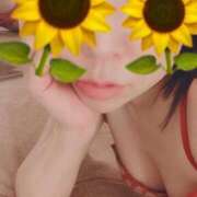 ヒメ日記 2026/06/16 06:46 投稿 朝倉さつき MADAM