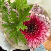 ヒメ日記 2026/06/25 22:16 投稿 朝倉さつき MADAM