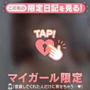 ヒメ日記 2025/12/29 09:31 投稿 キコ アリスマリオン