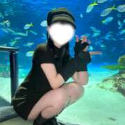 ヒメ日記 2025/12/29 09:01 投稿 成宮ゆあ 華椿