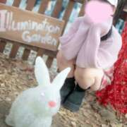 ヒメ日記 2026/02/17 08:46 投稿 成宮ゆあ 華椿