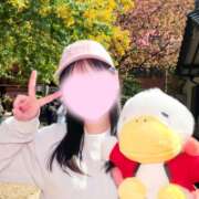 ヒメ日記 2026/03/19 08:46 投稿 成宮ゆあ 華椿