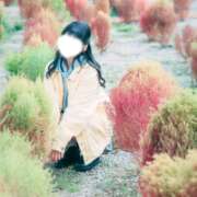 ヒメ日記 2026/03/30 13:31 投稿 成宮ゆあ 華椿