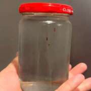 ヒメ日記 2026/04/06 01:31 投稿 成宮ゆあ 華椿