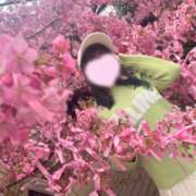 ヒメ日記 2026/04/07 08:46 投稿 成宮ゆあ 華椿