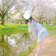 ヒメ日記 2026/04/08 02:31 投稿 成宮ゆあ 華椿