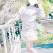 ヒメ日記 2026/04/08 17:31 投稿 成宮ゆあ 華椿