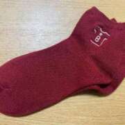 ヒメ日記 2025/12/30 20:16 投稿 鳴海ふうか 華椿