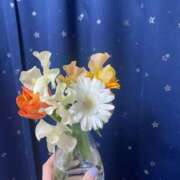 ヒメ日記 2026/01/27 23:16 投稿 鳴海ふうか 華椿