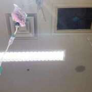 ヒメ日記 2026/02/04 12:16 投稿 鳴海ふうか 華椿